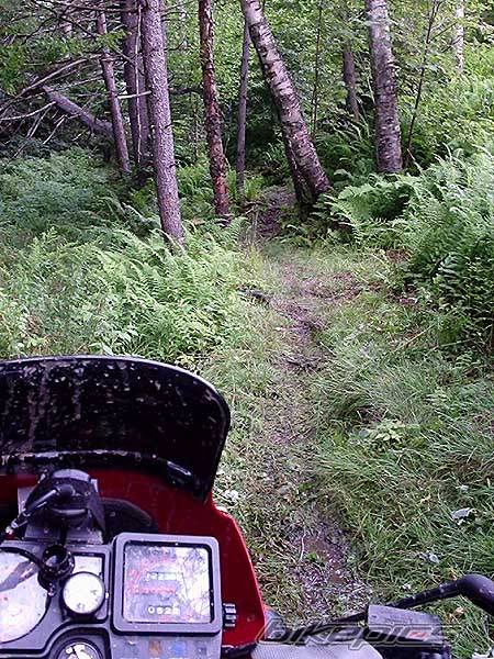 Photo 228512