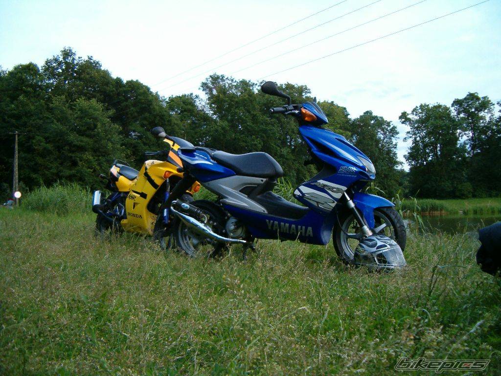 Photo 228513