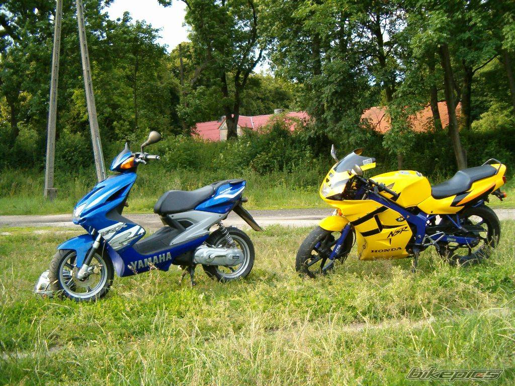 Photo 228514