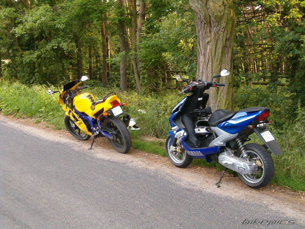 Photo 228515