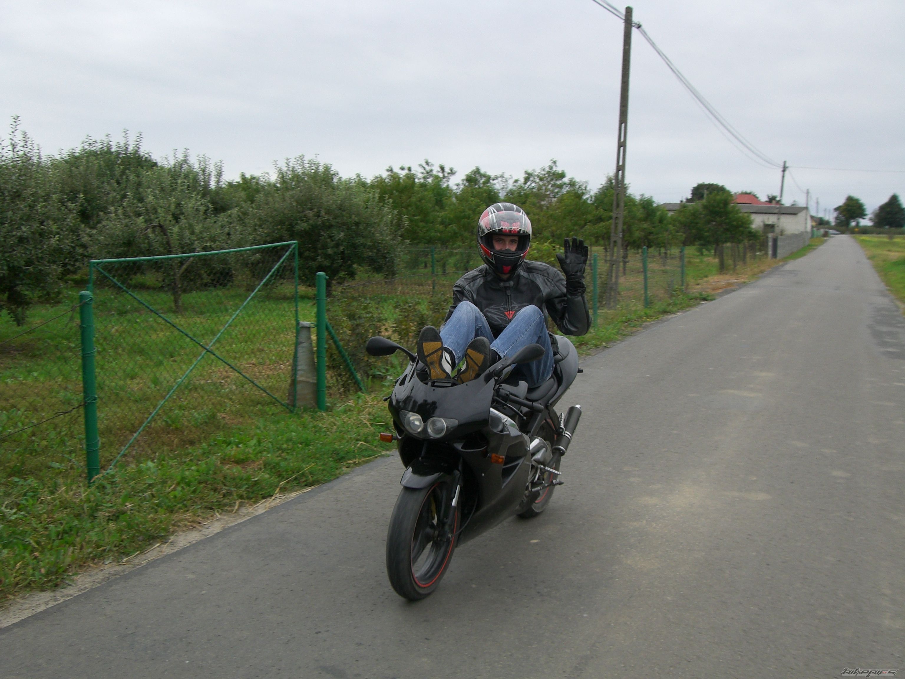 Photo 2285208