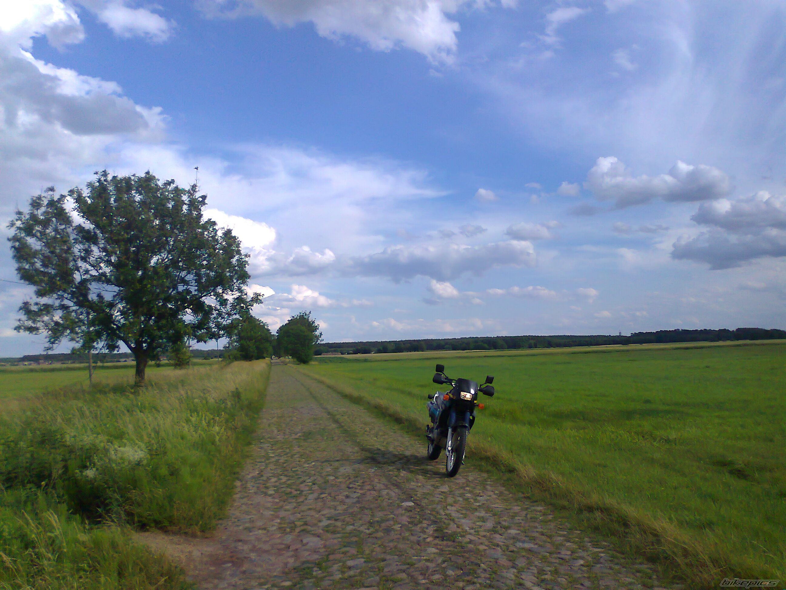 Photo 2285324