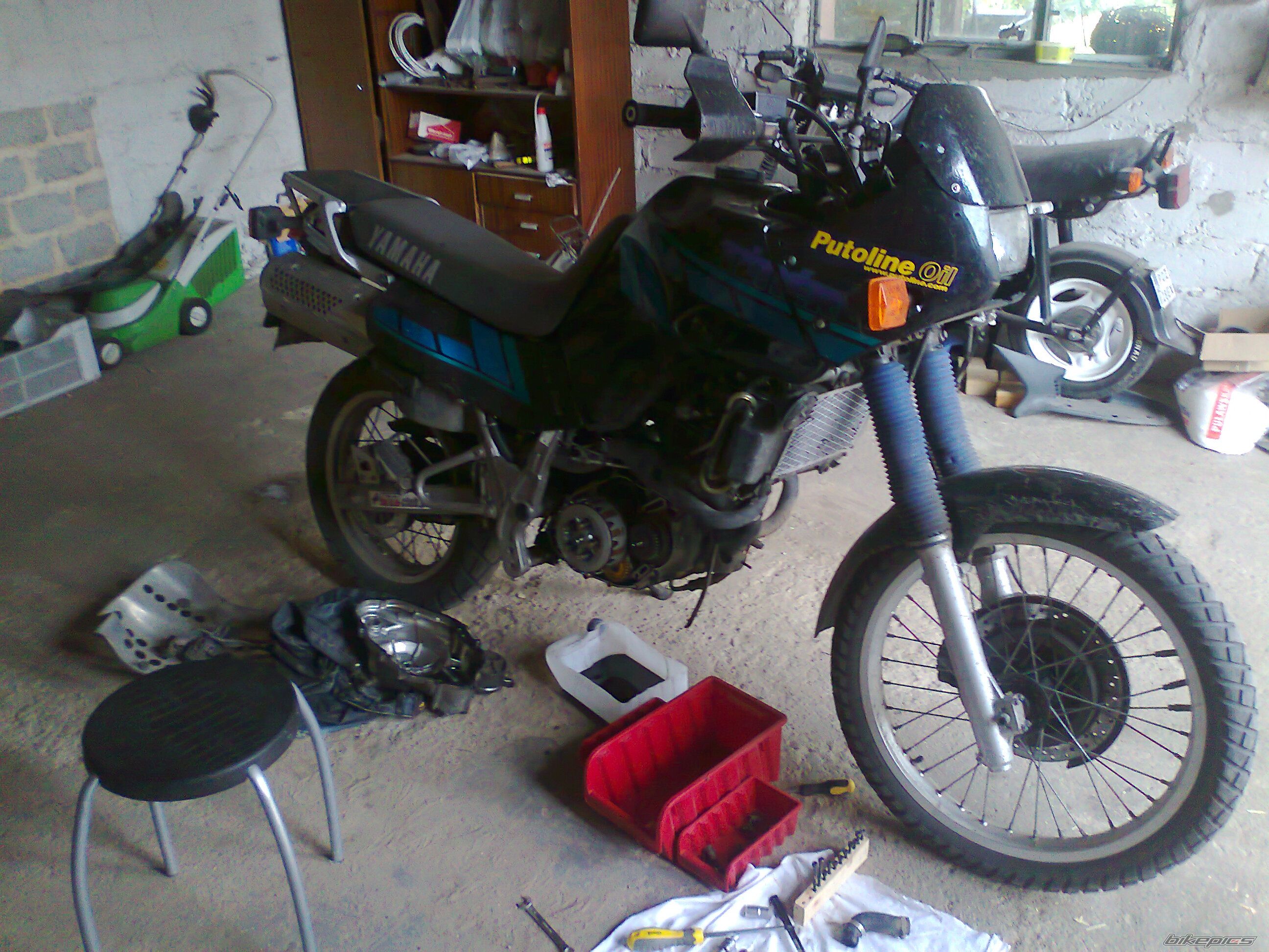 Photo 2285334