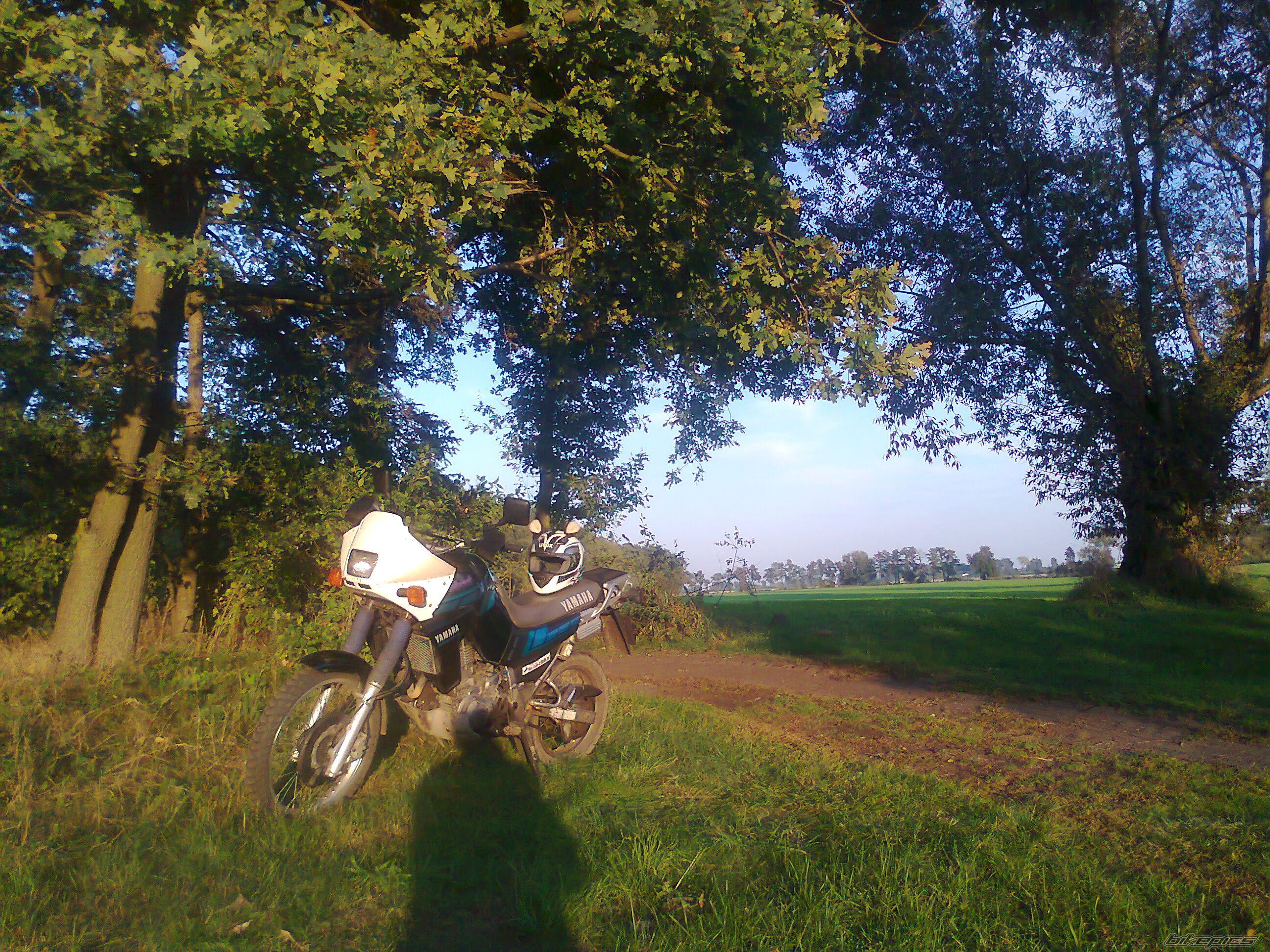Photo 2285343