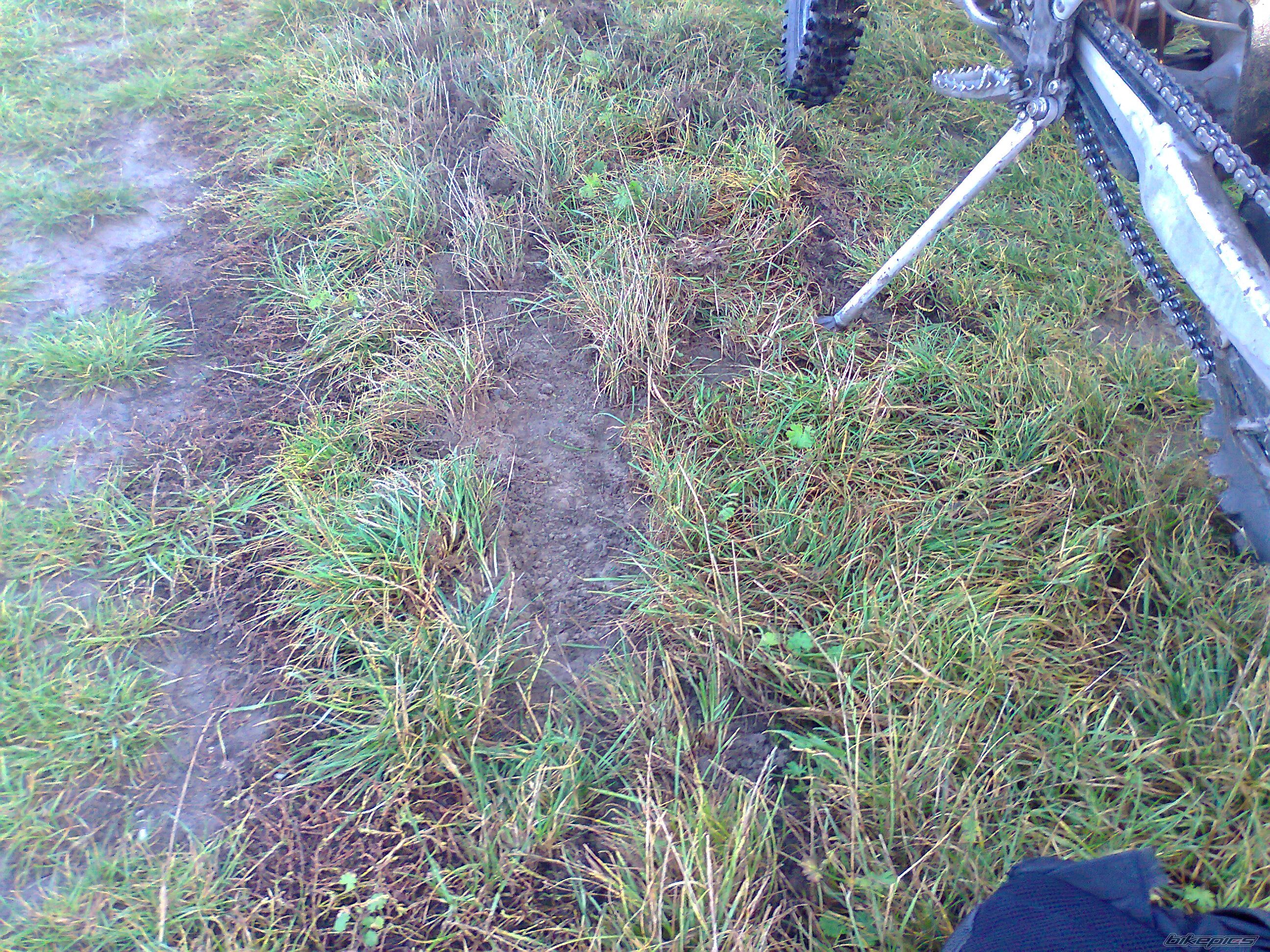 Photo 2285349