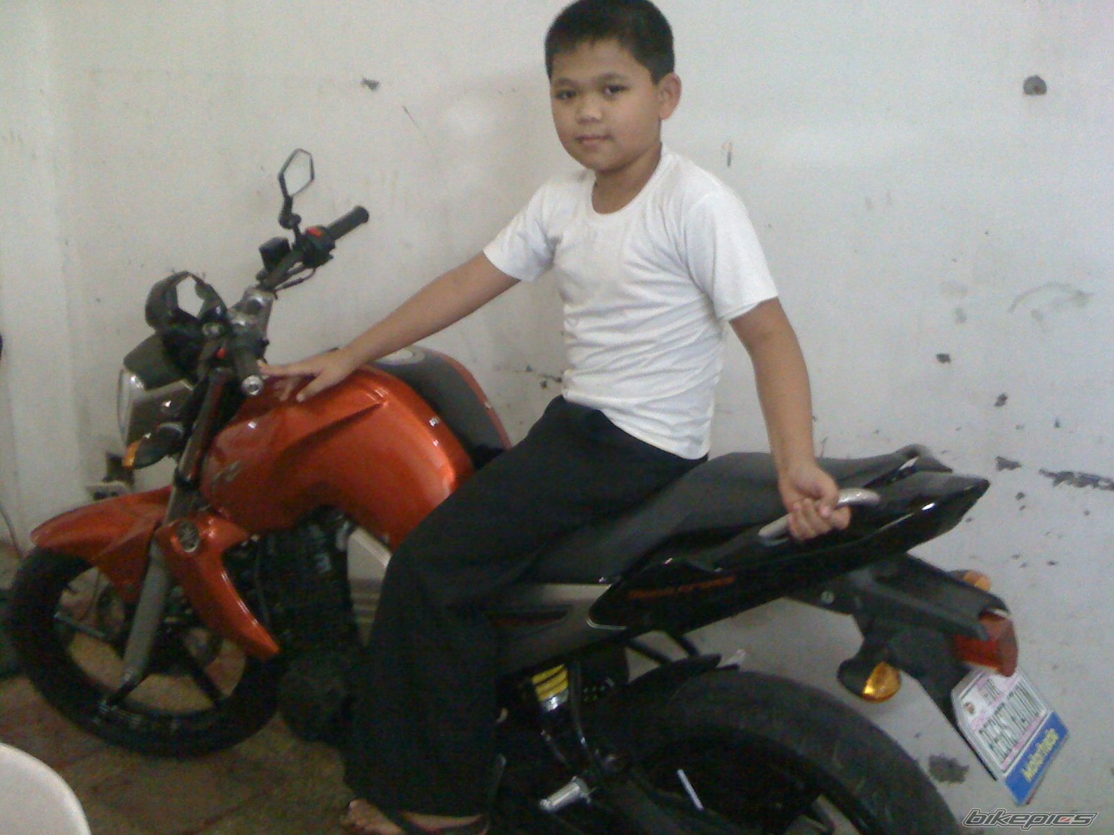 Photo 2285641
