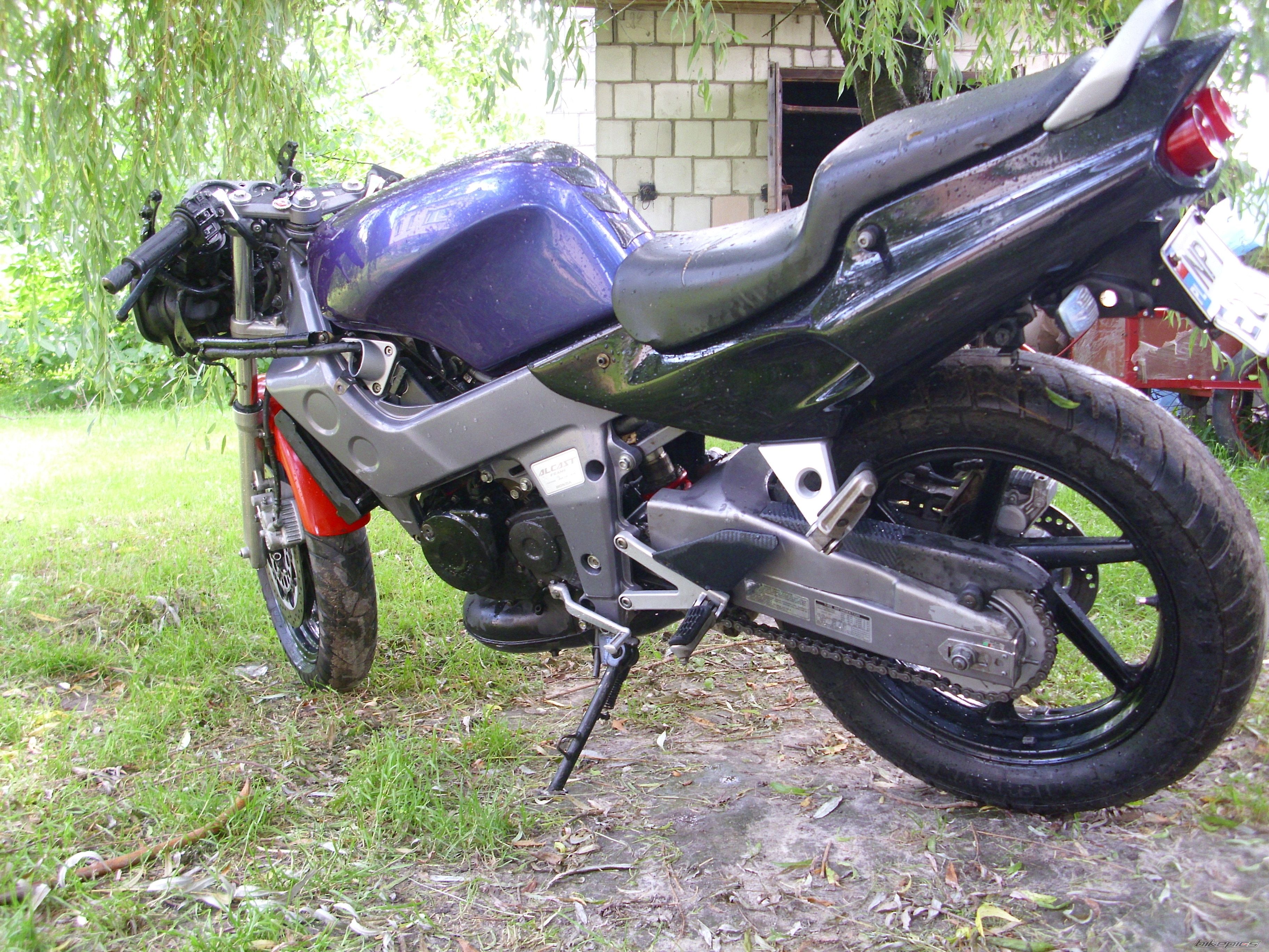 Photo 2285699