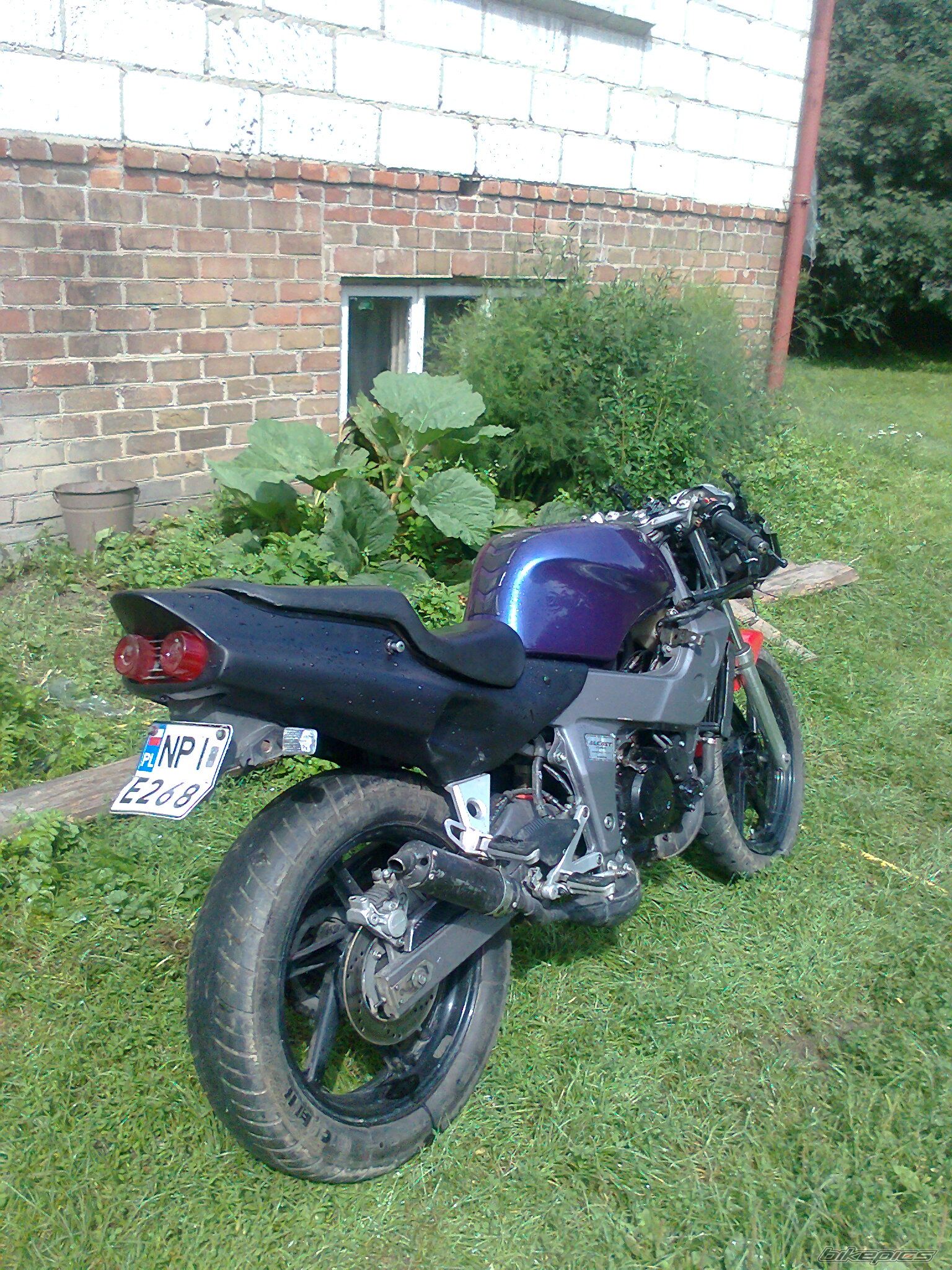 Photo 2285704