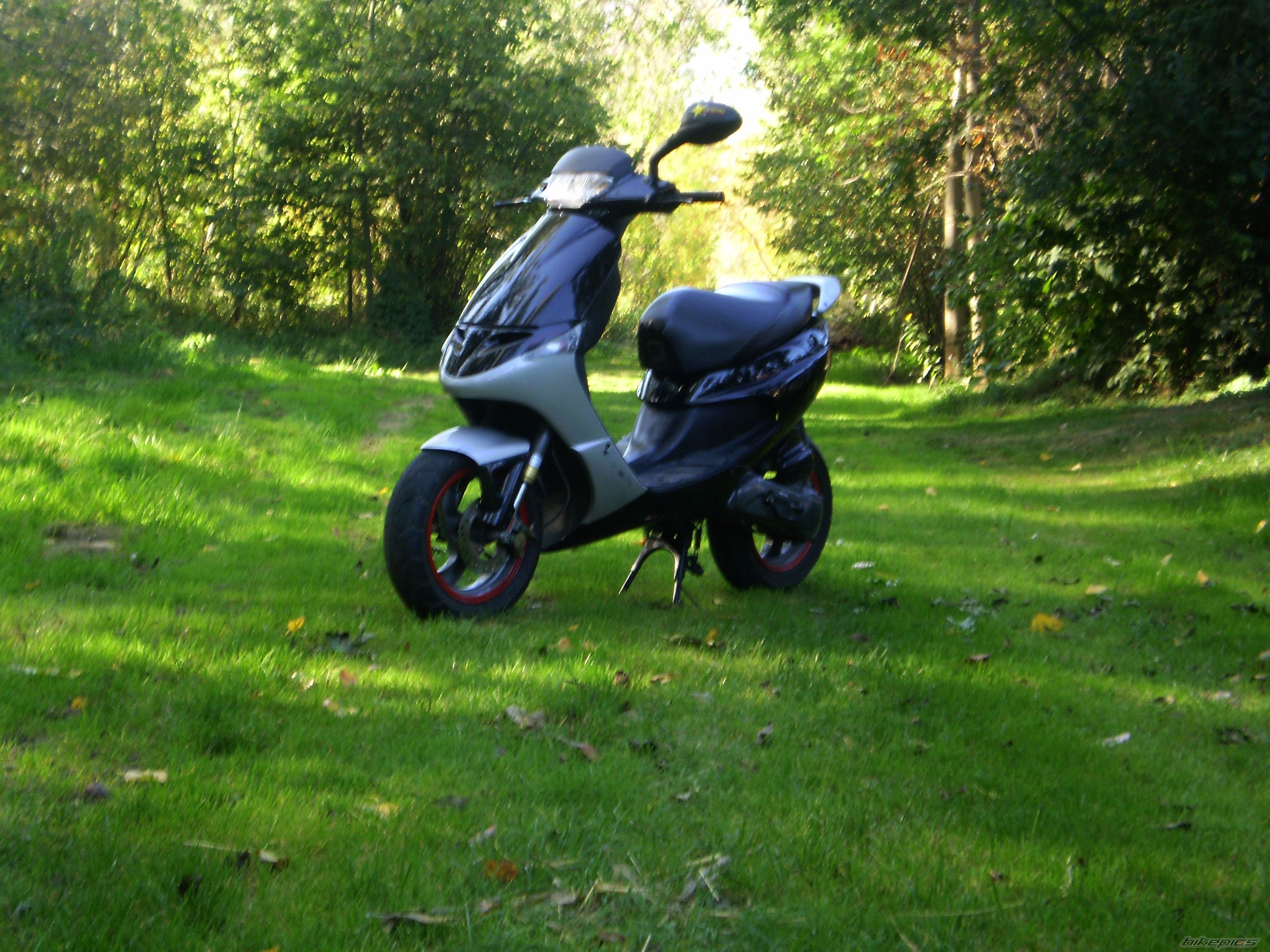Photo 2285983