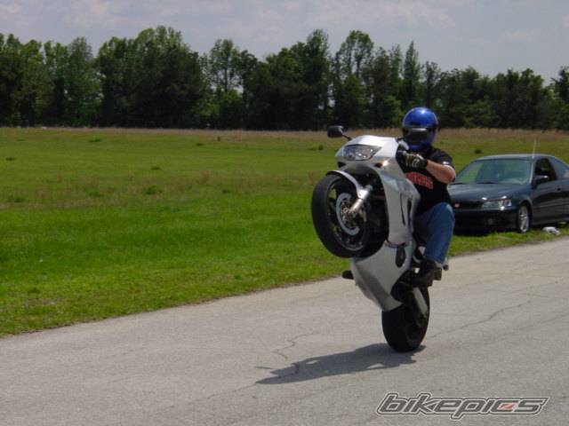 Photo 22861