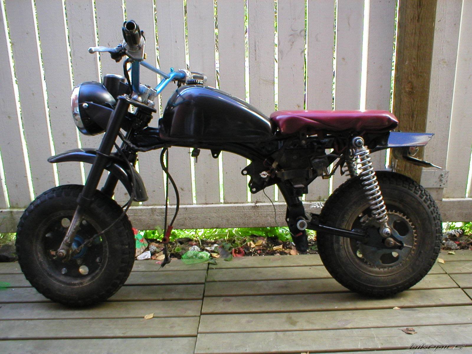 Photo 228615