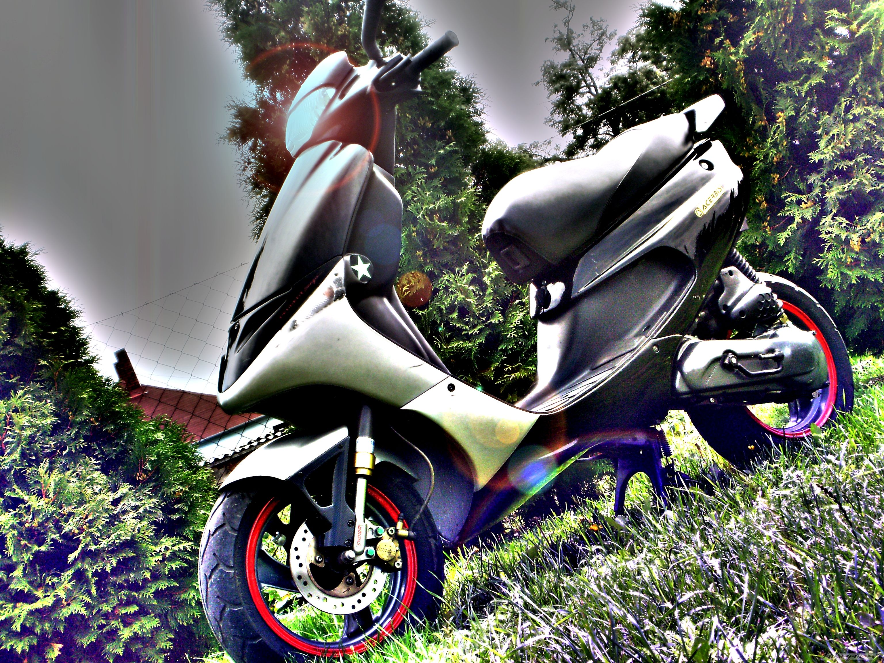 Photo 2286203