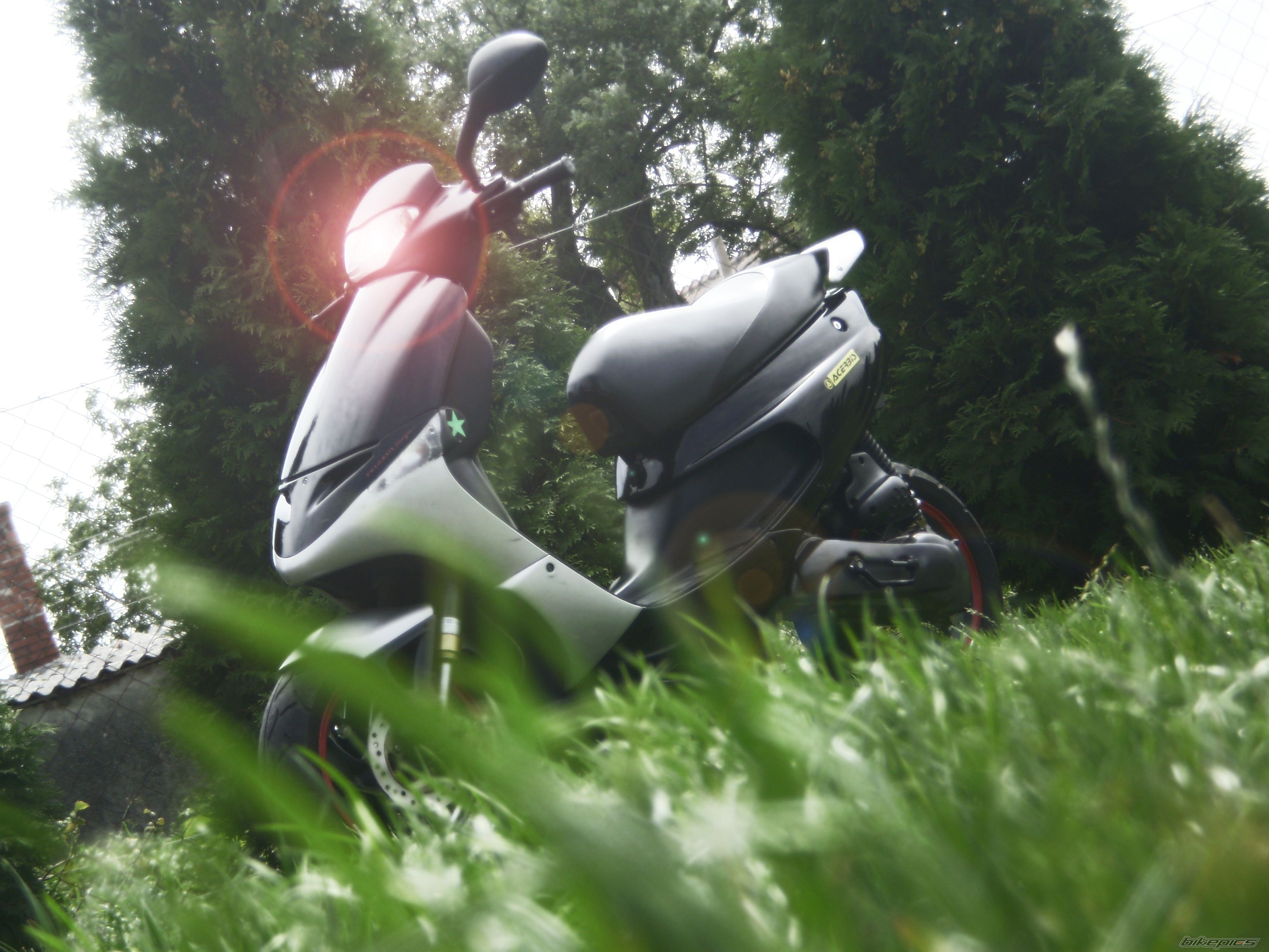 Photo 2286215