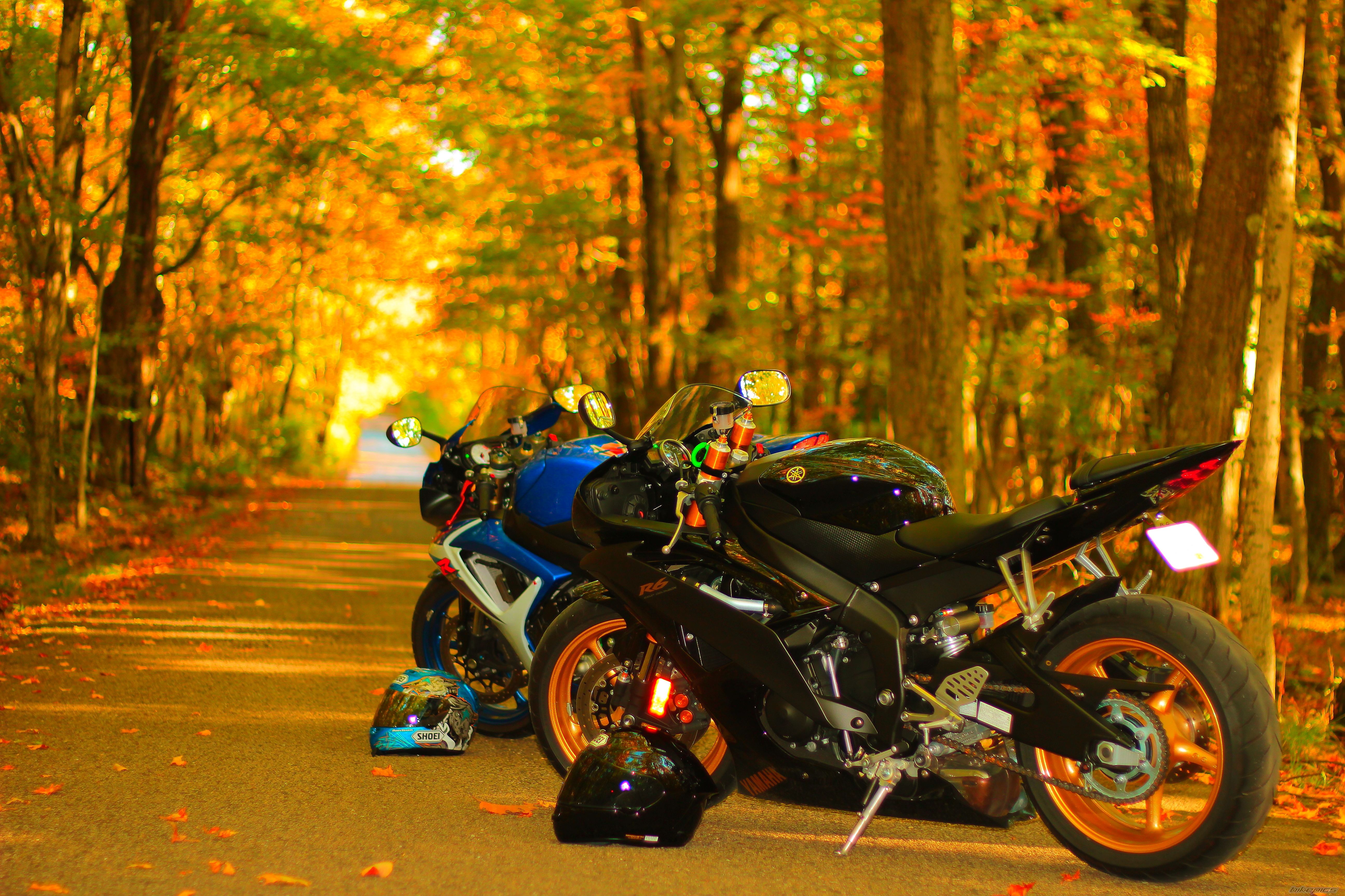 Photo 2286247