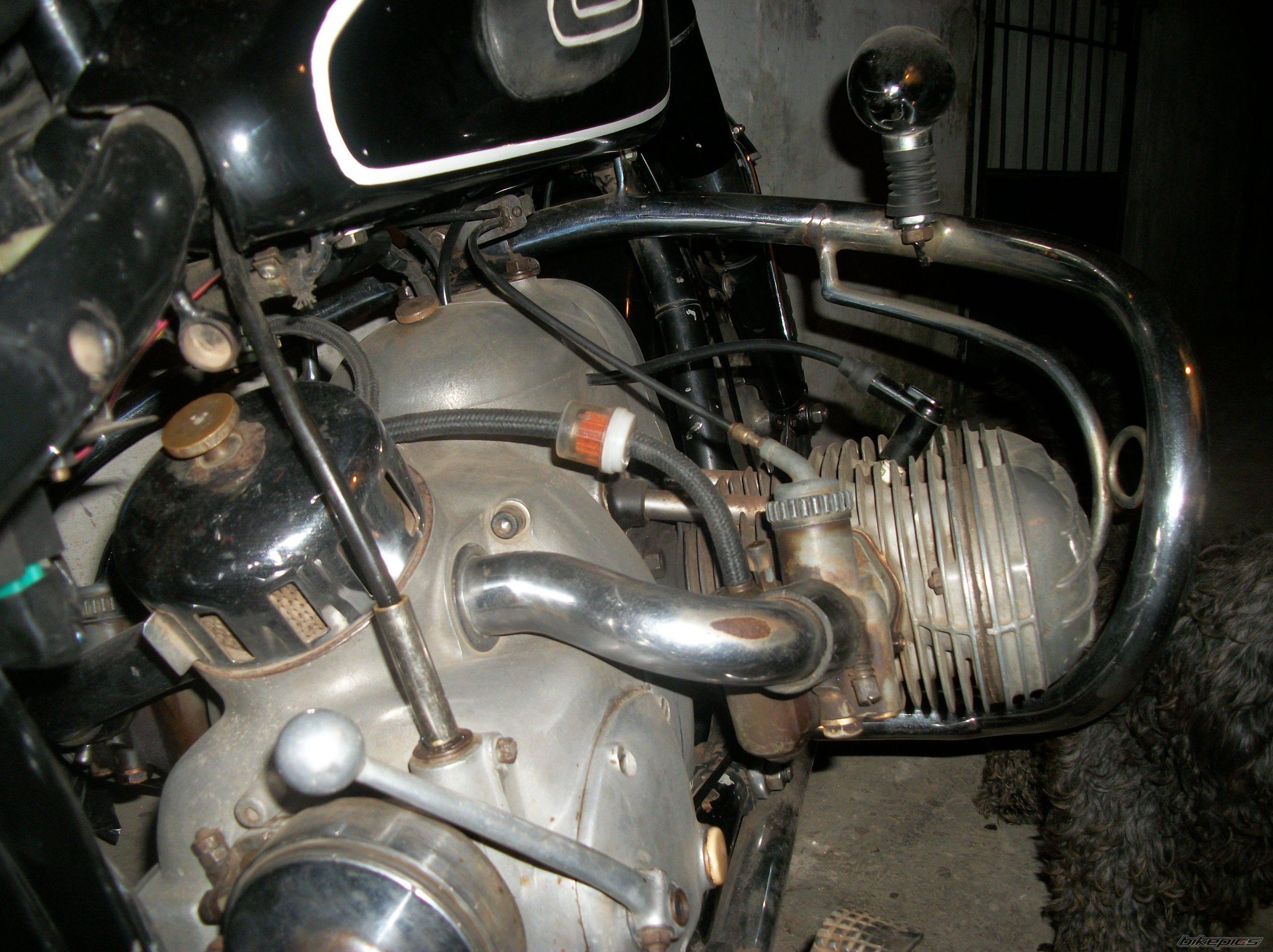 Photo 2286270
