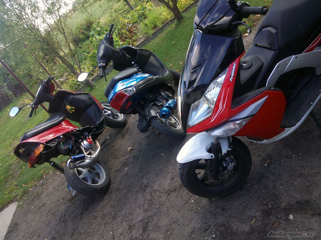 Photo 2286417