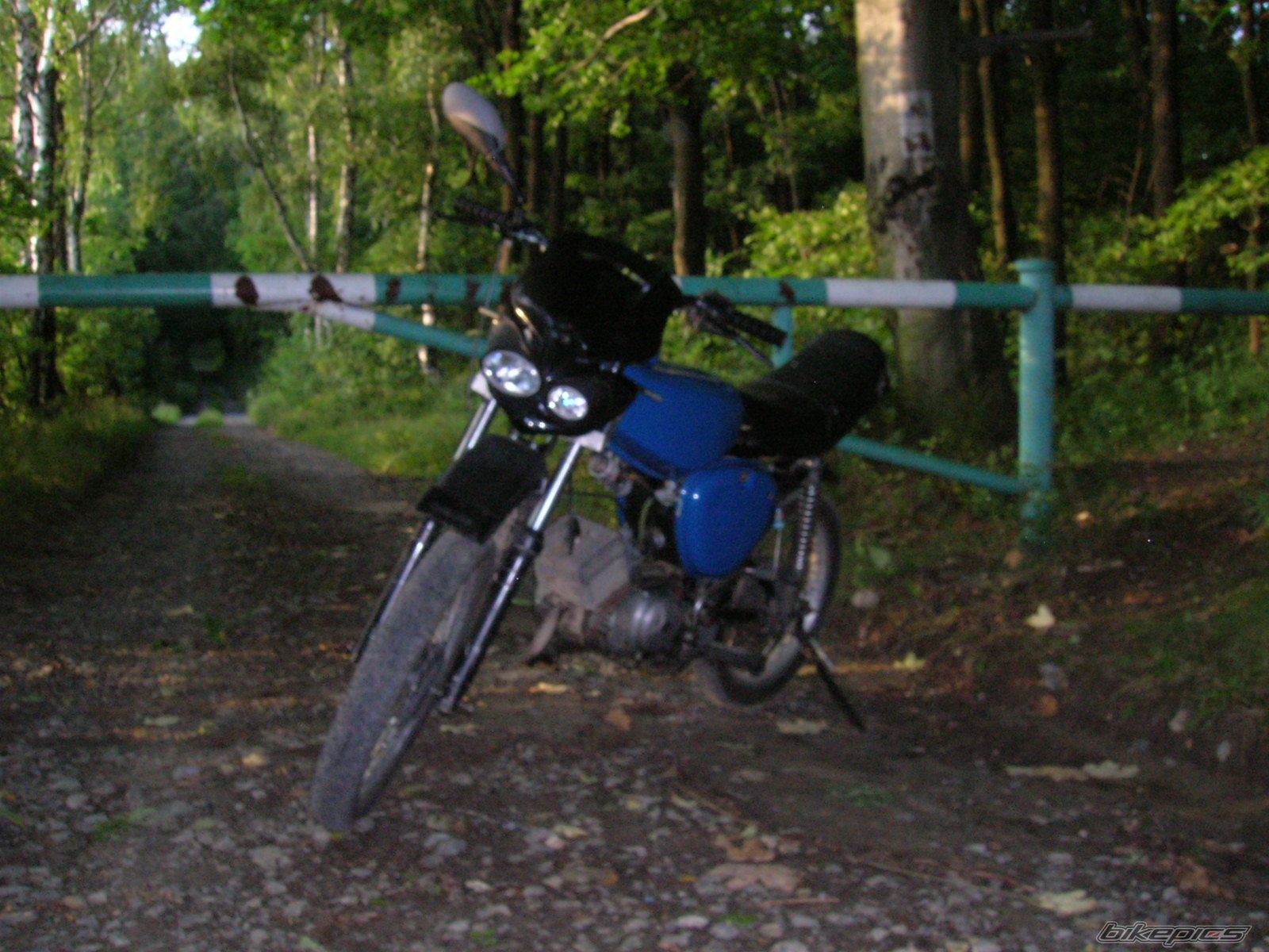 Photo 2286547