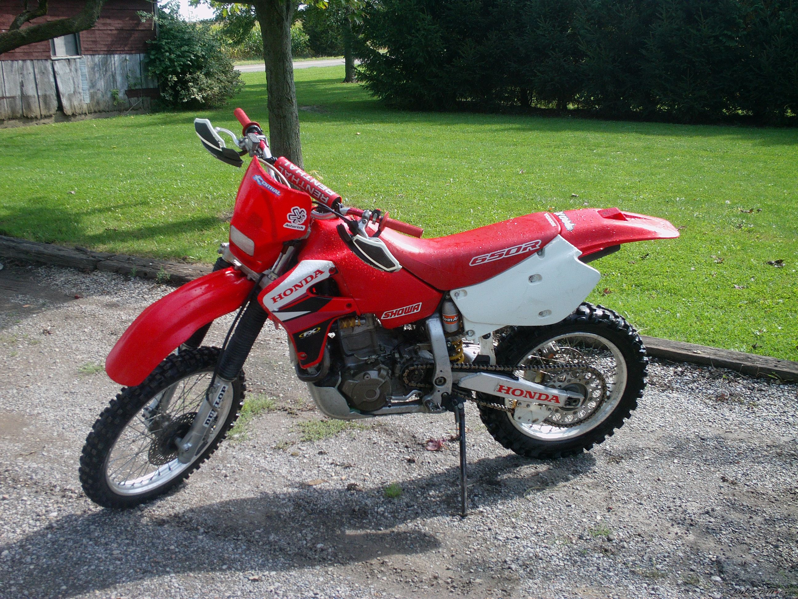 Photo 2286561