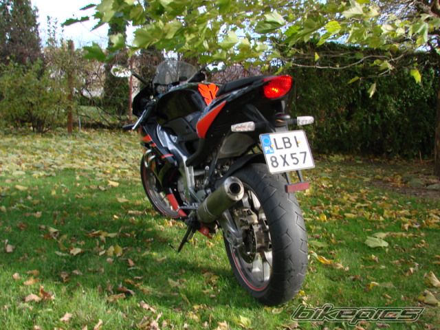 Bike Photo 2286629