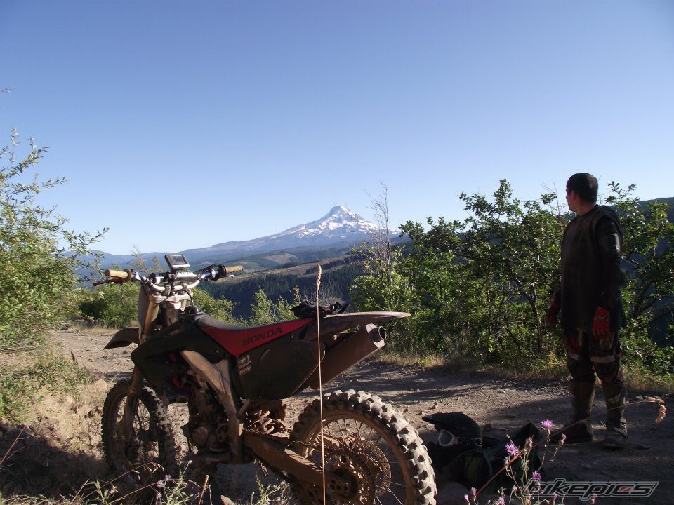 Photo 2286647