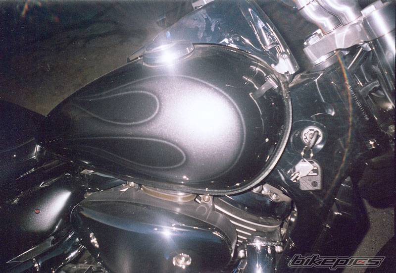 Photo 228681