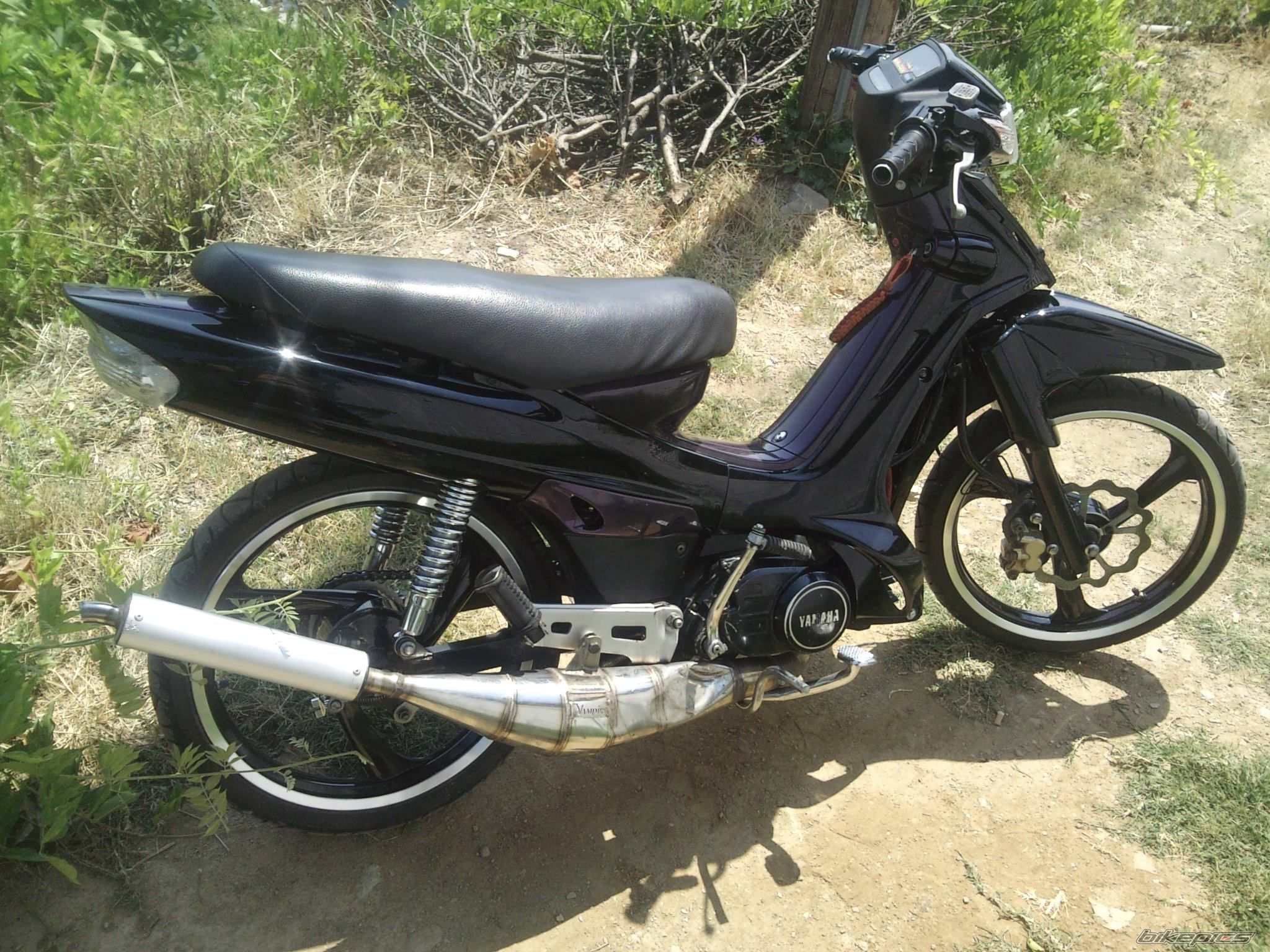 Photo 2286845