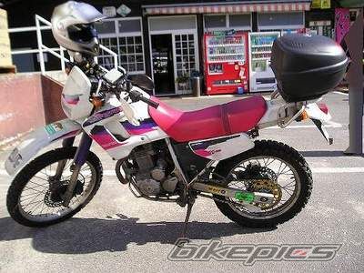 Photo 2286893