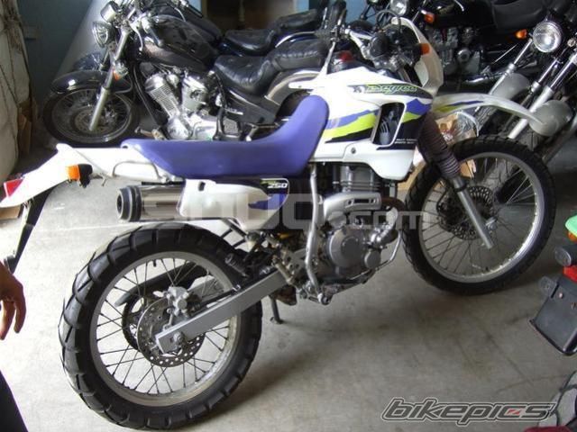 Photo 2286894