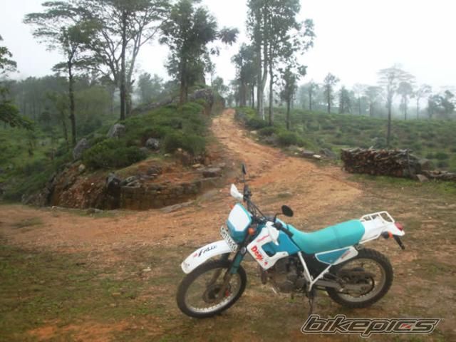 Photo 2286901