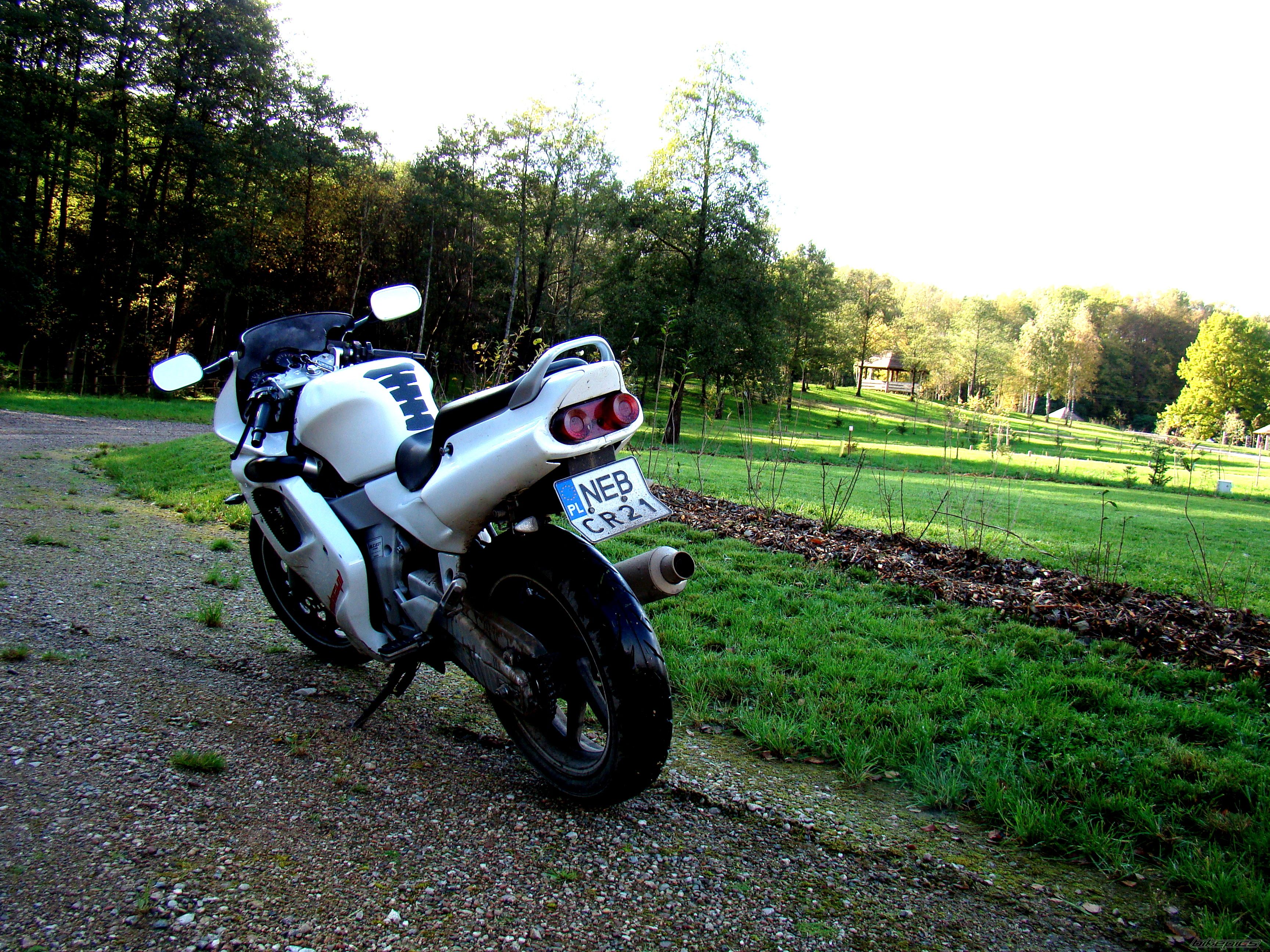 Photo 2286943