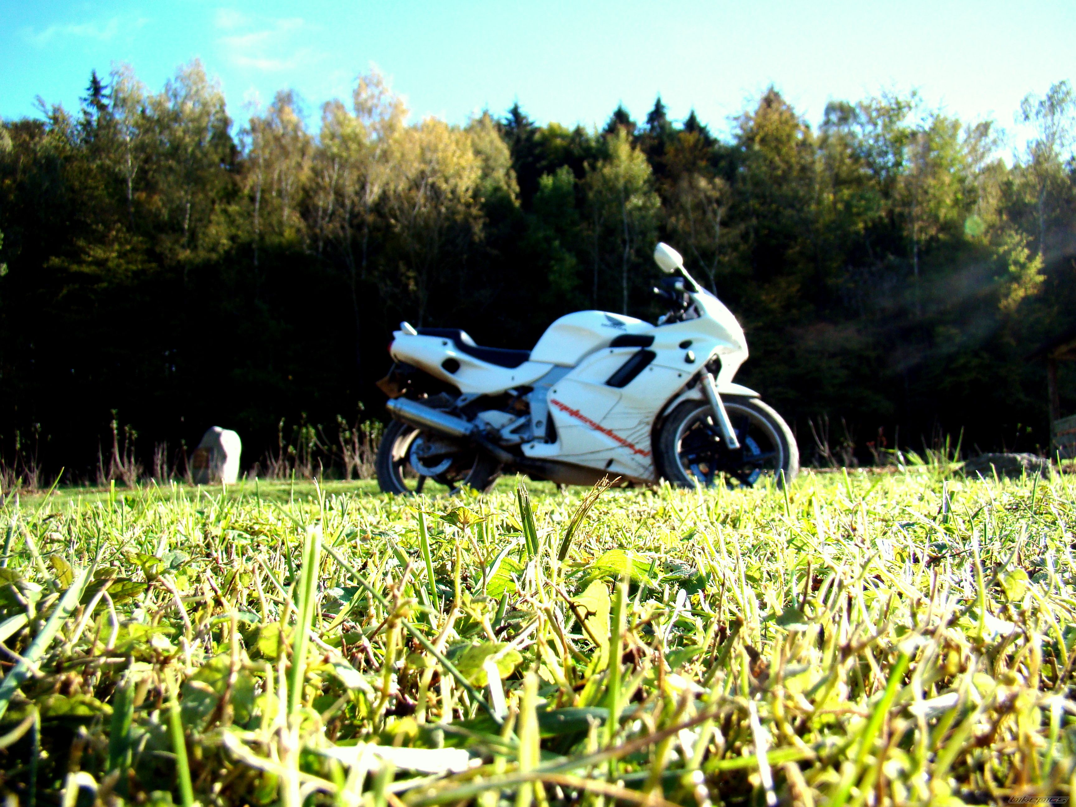 Photo 2286946