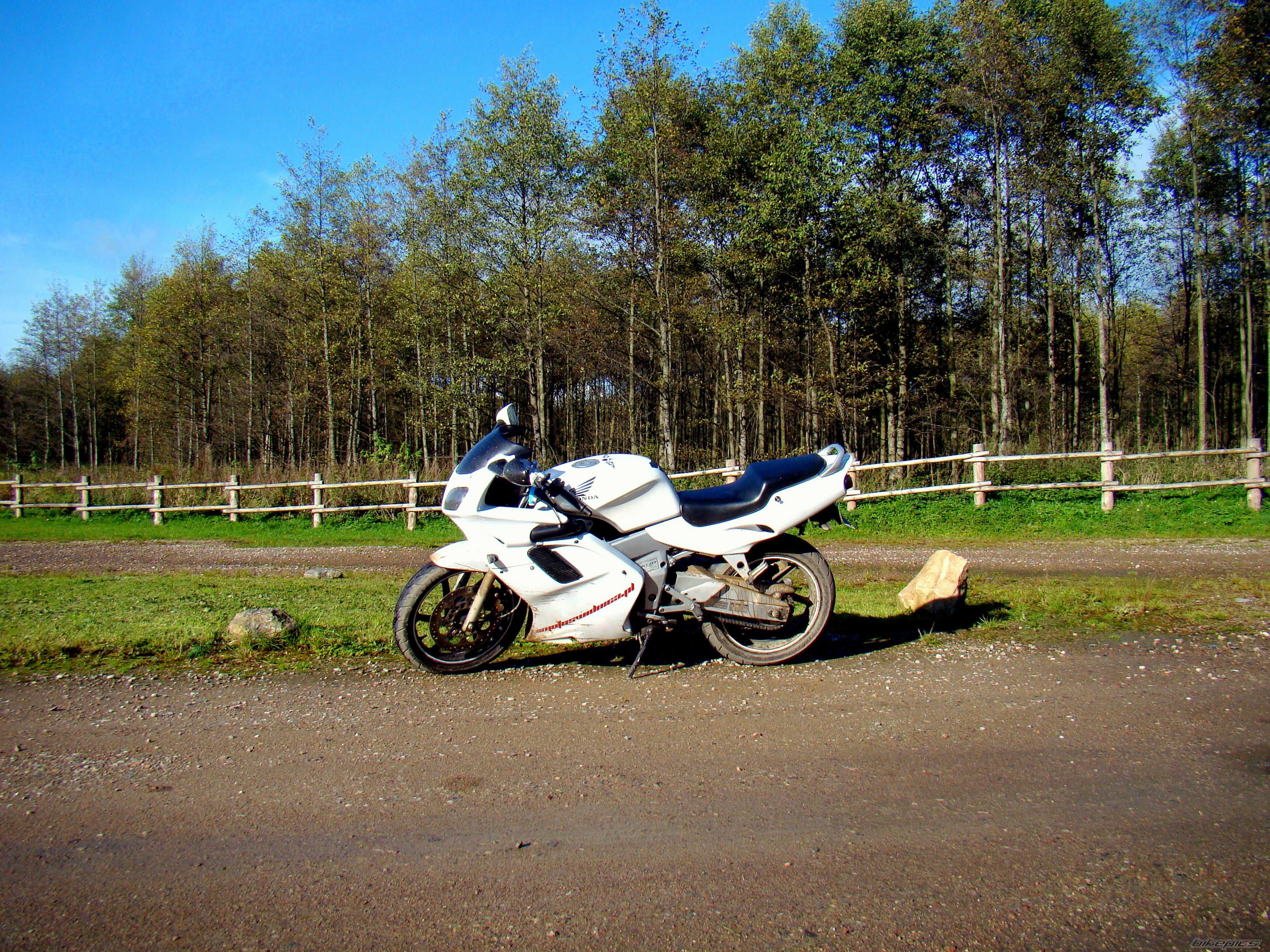 Photo 2286947