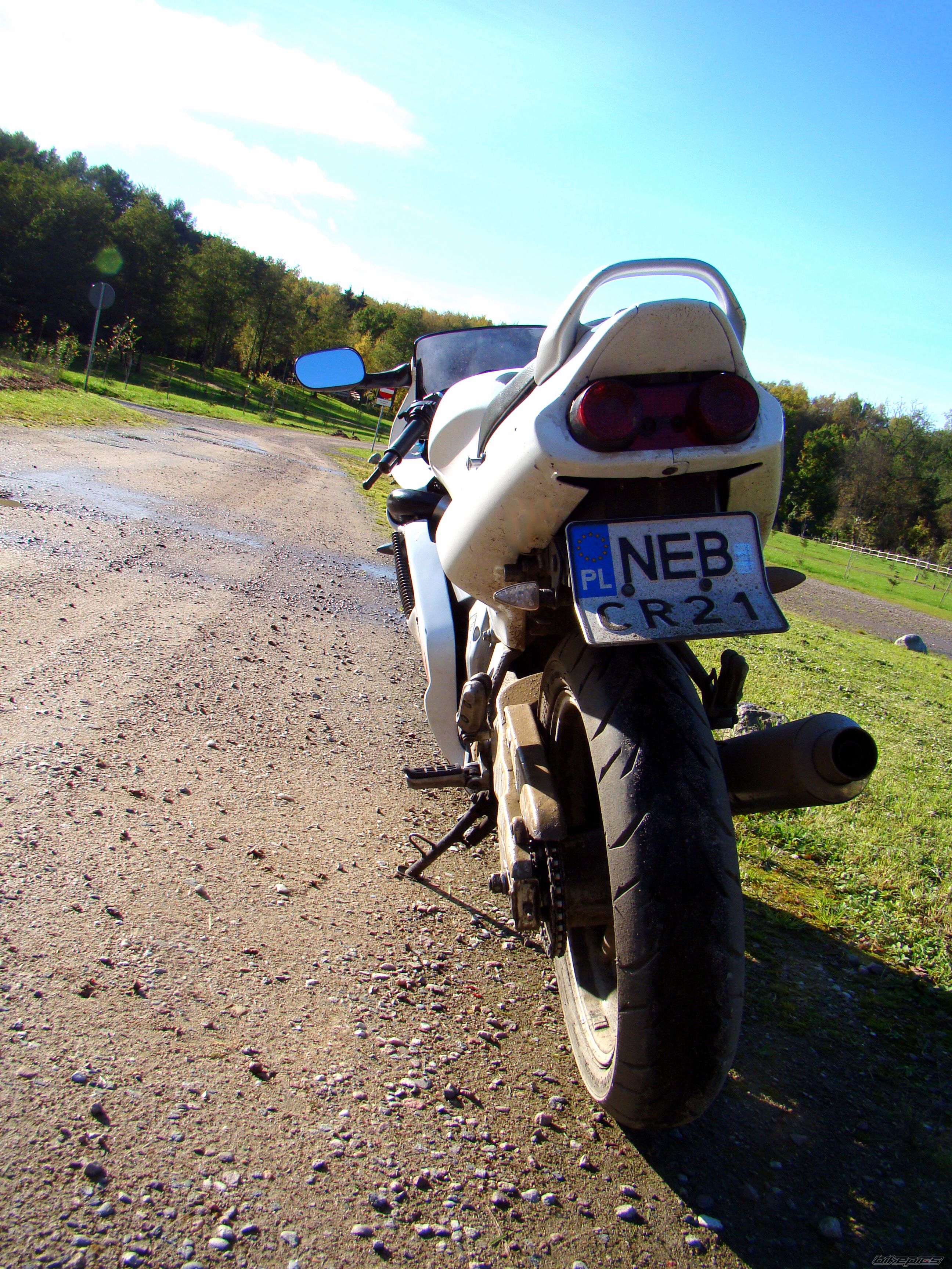 Photo 2286948