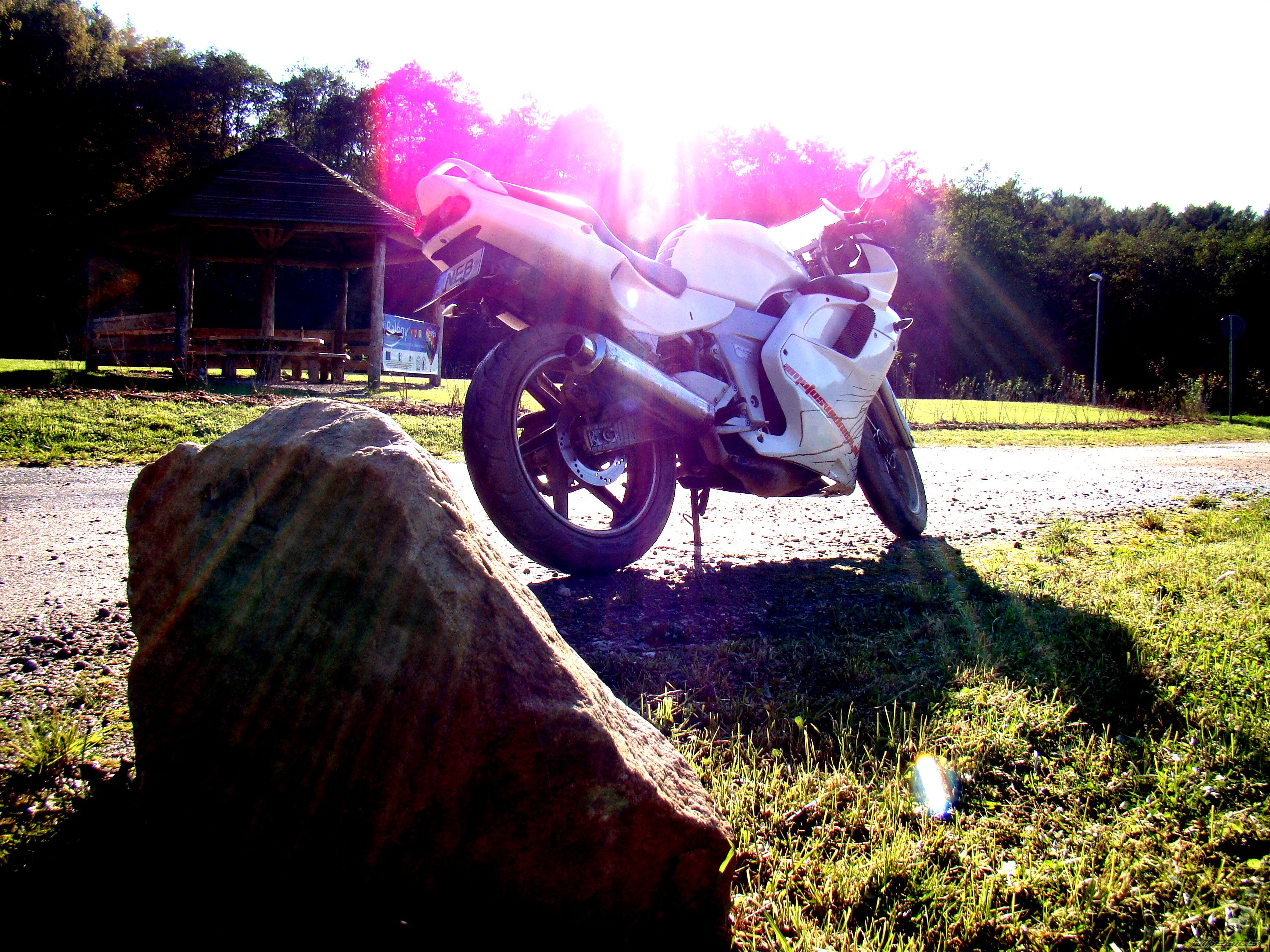 Photo 2286949