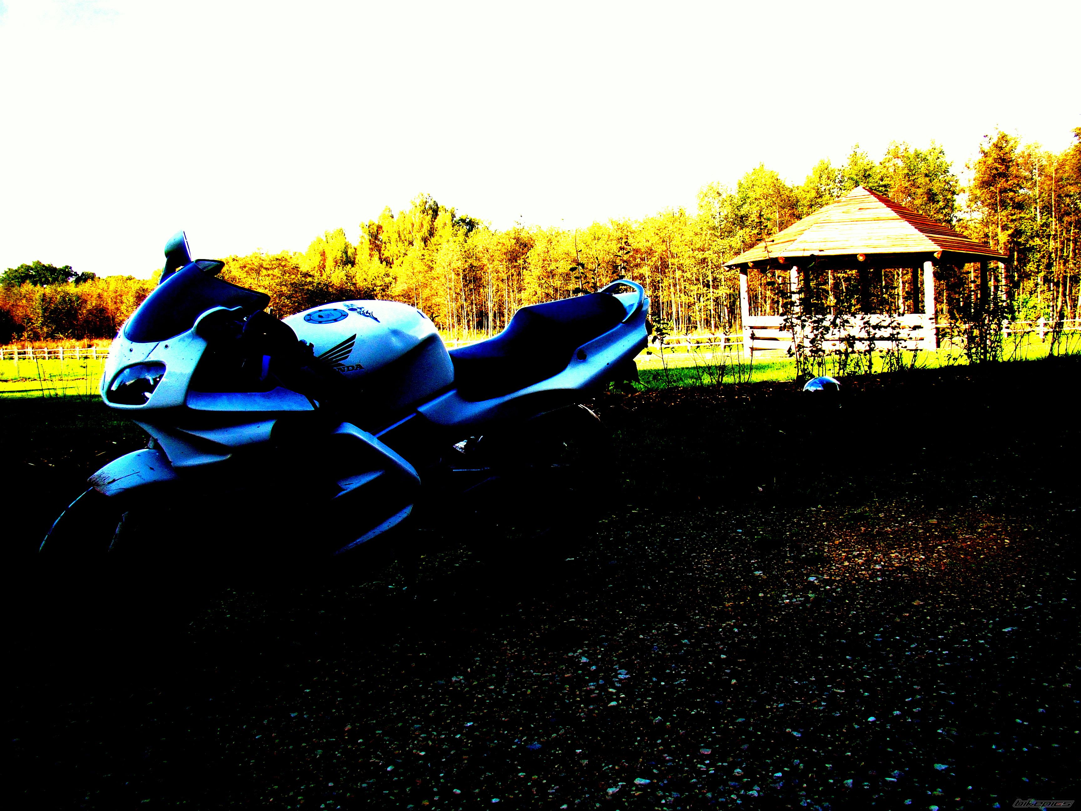 Photo 2286950