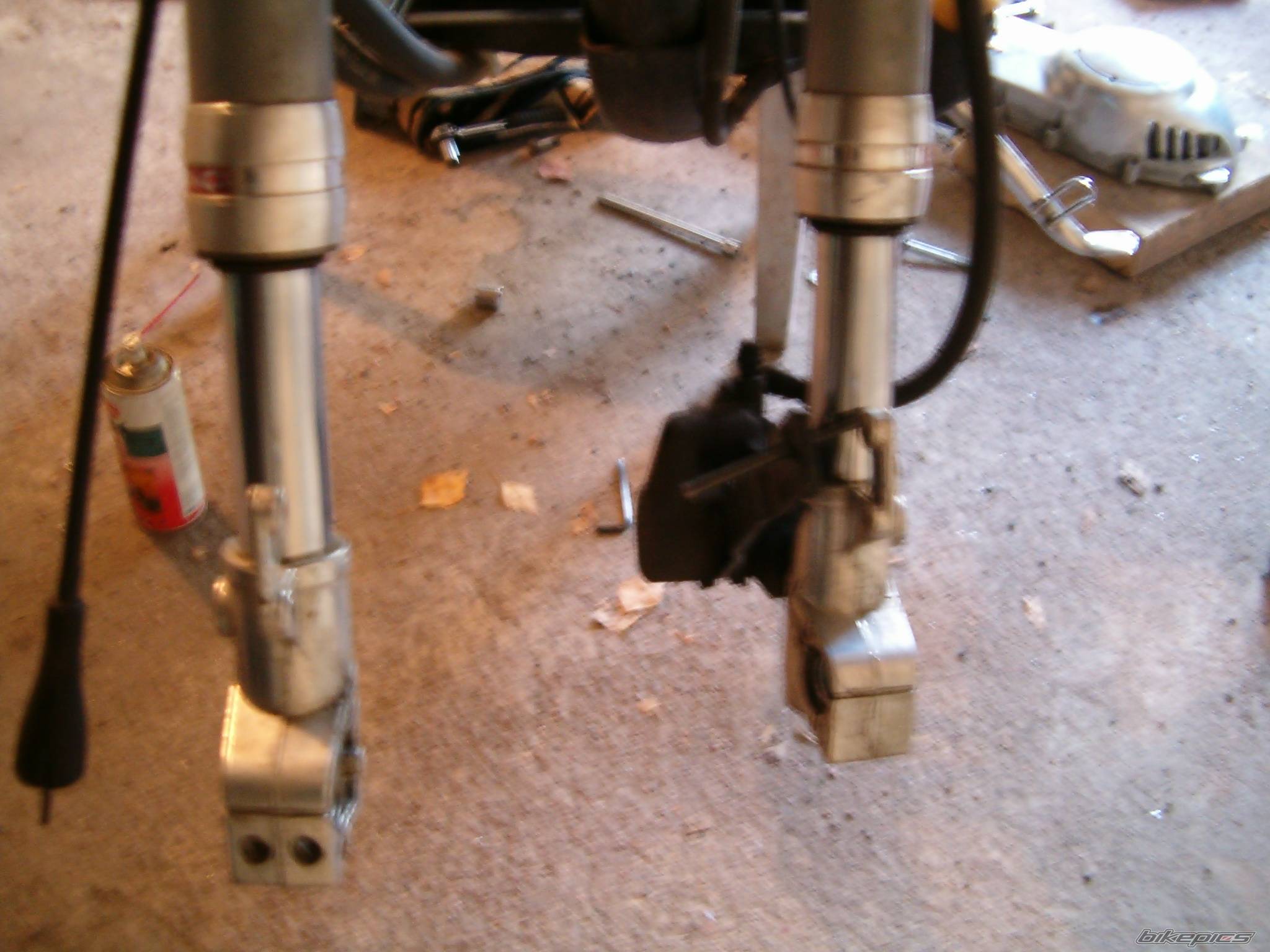 Photo 228697