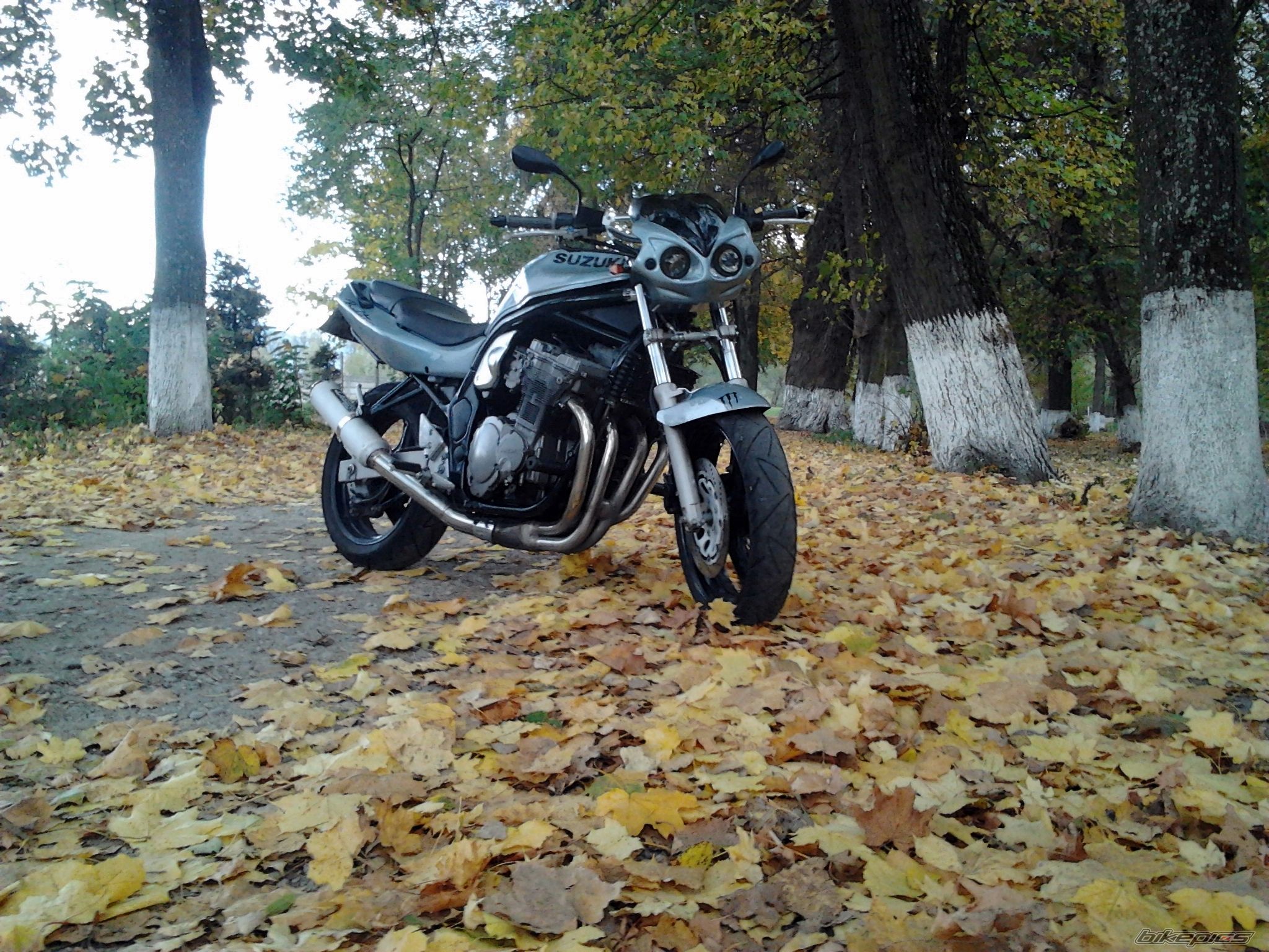 Photo 2287008
