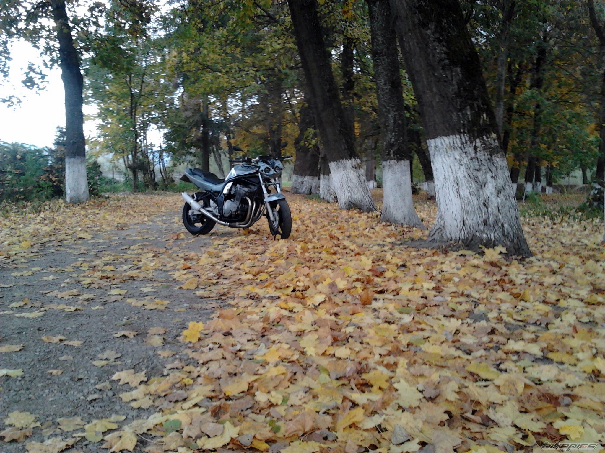 Photo 2287009