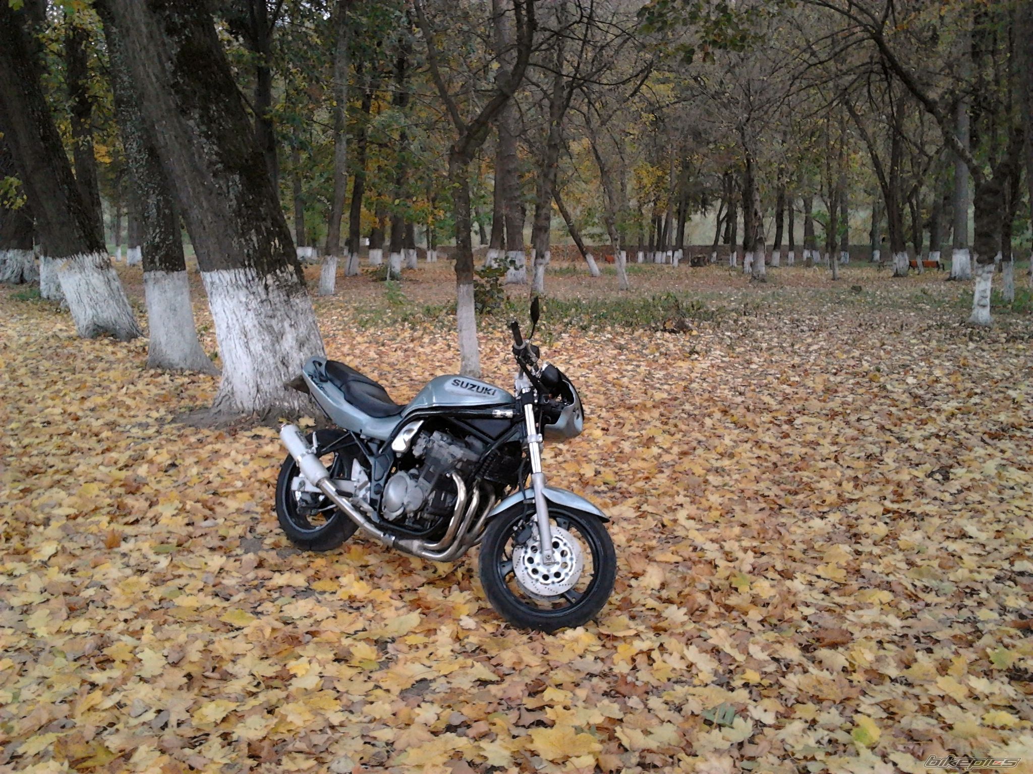 Photo 2287011