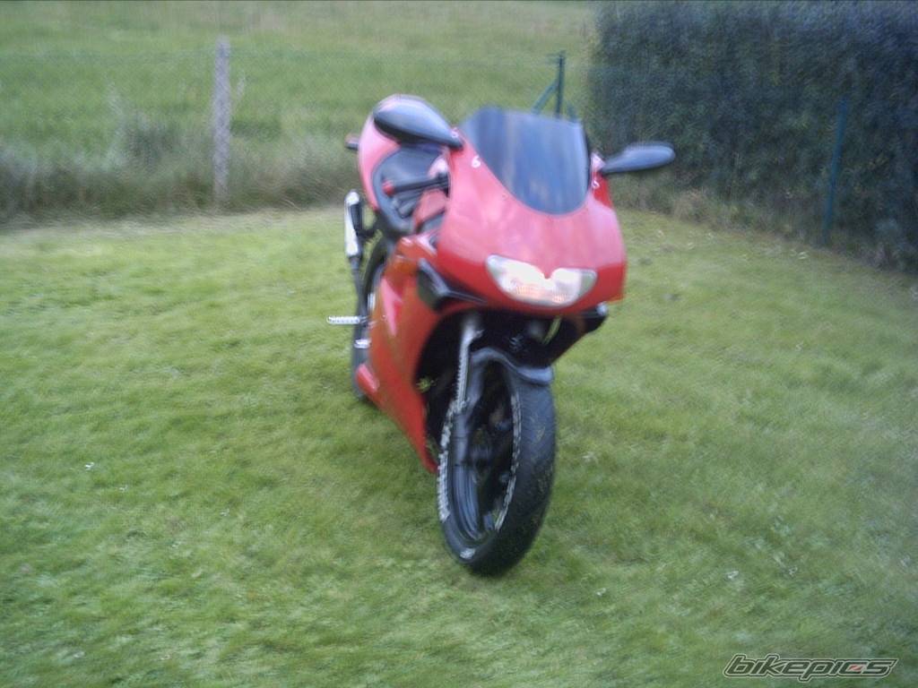 Photo 228708