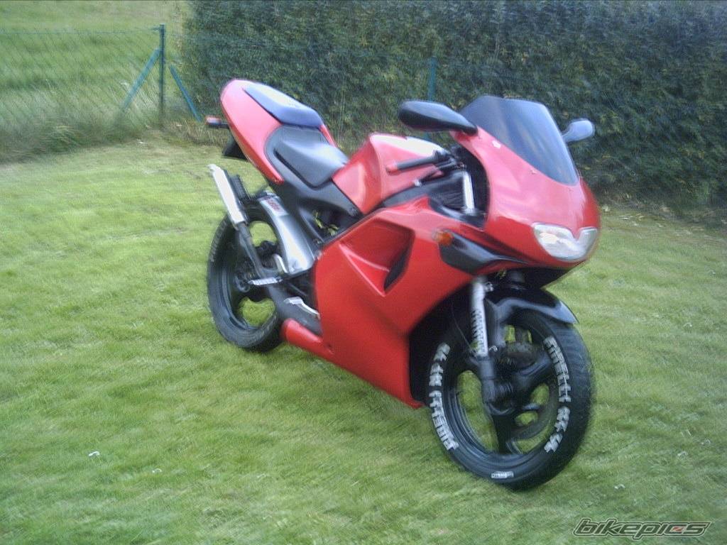 Photo 228709