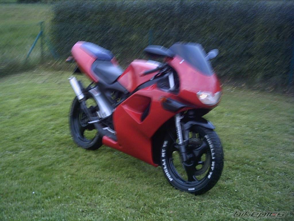 Photo 228711