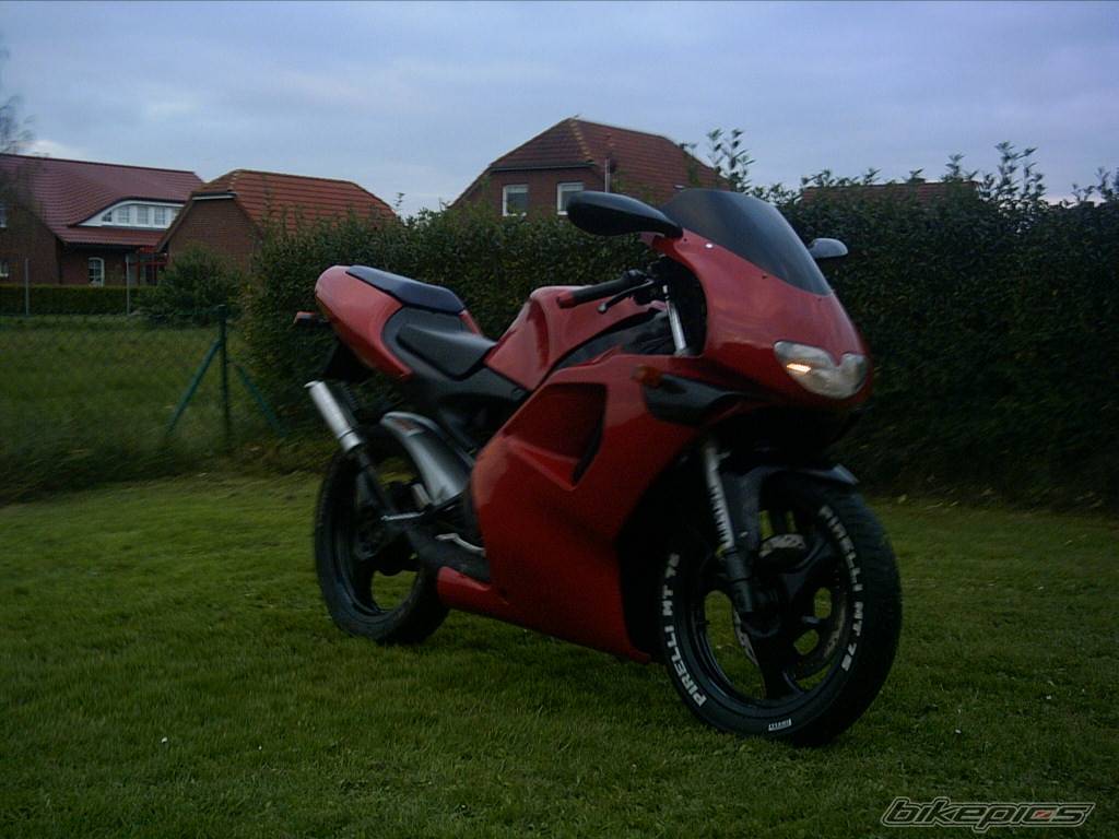 Photo 228712