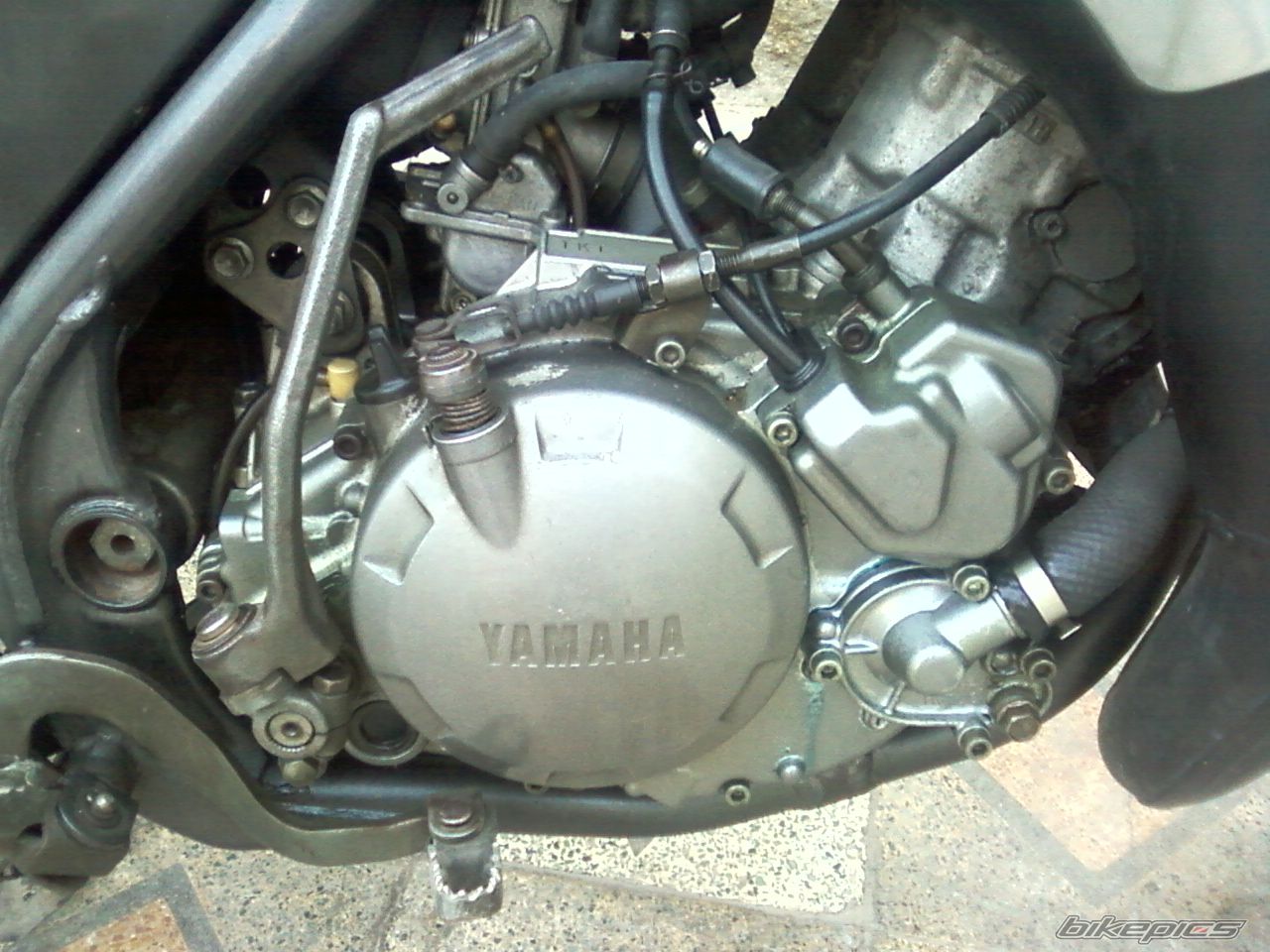 Photo 2287126