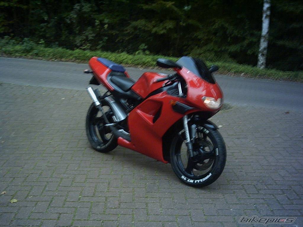 Photo 228716
