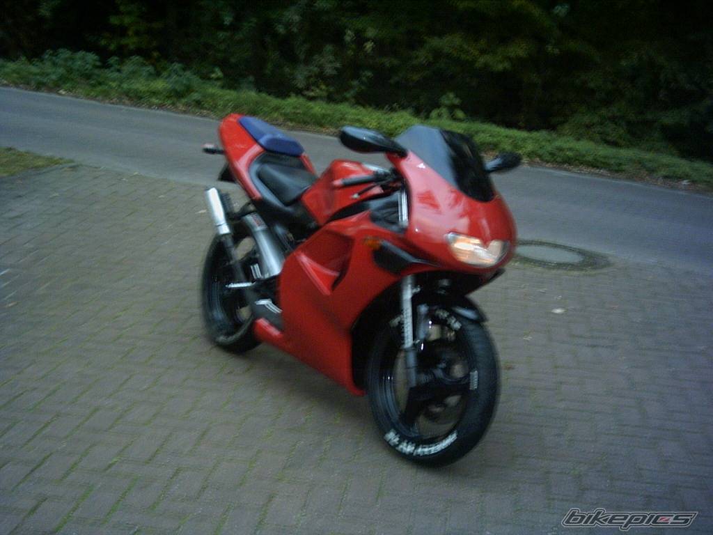 Photo 228717