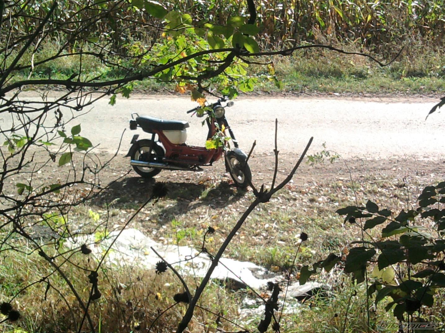 Photo 2287176