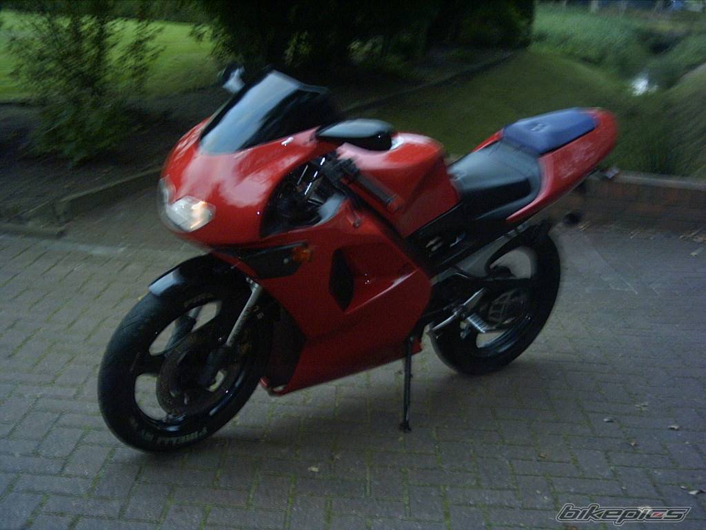 Photo 228720