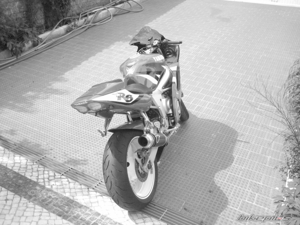 Photo 2287261