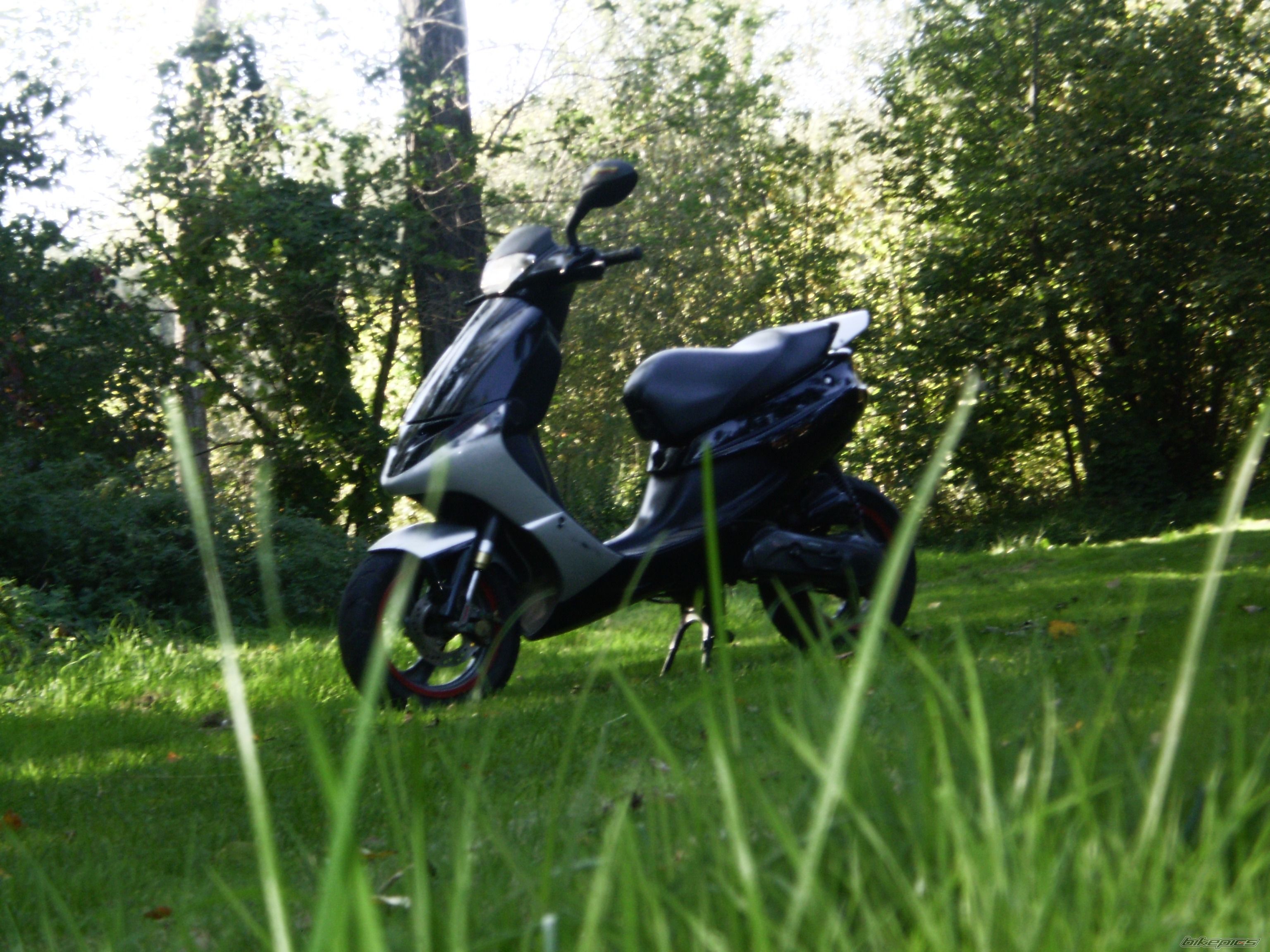 Photo 2287275